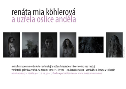 MIa pl